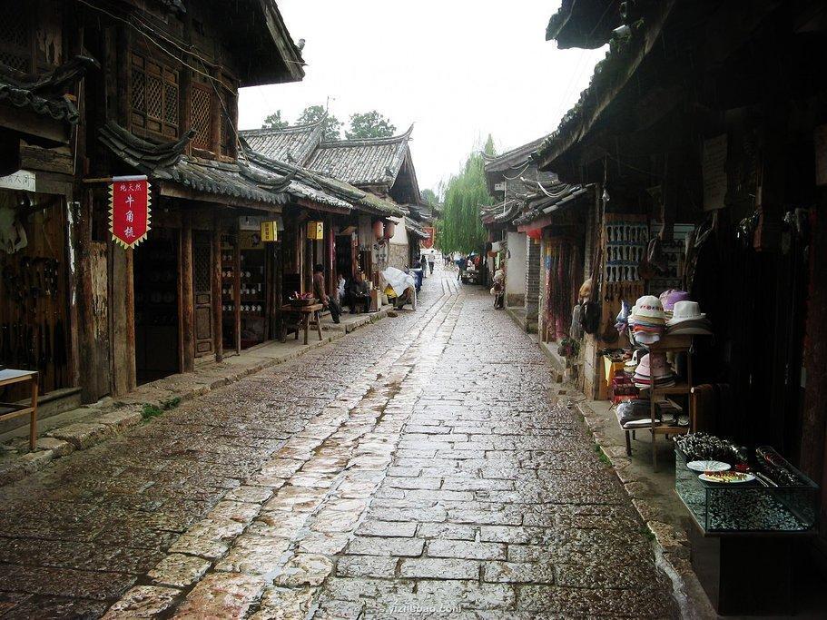 打好“扁鹊康养牌”延伸中医药产业链